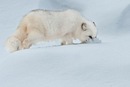Фотография Горлановой Валентины