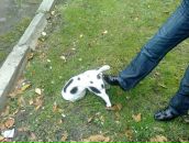 Марічка Синицька фотография #13 (источник - https://vk.com/id69695617)