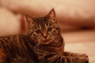 Фотография Трубициной Елены