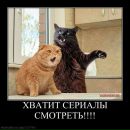 Вадім Кравчик фотография #2 (источник - https://vk.com/id93294066)