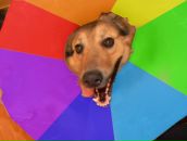 Фотография Нецветаевой Янны