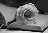 Іра Папроцька фотография #5 (источник - https://vk.com/id116439529)