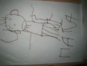 Фотография Ширпакова Александра