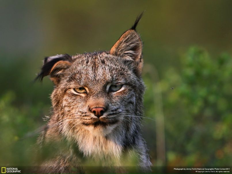 Алан Рубаев фотография #10