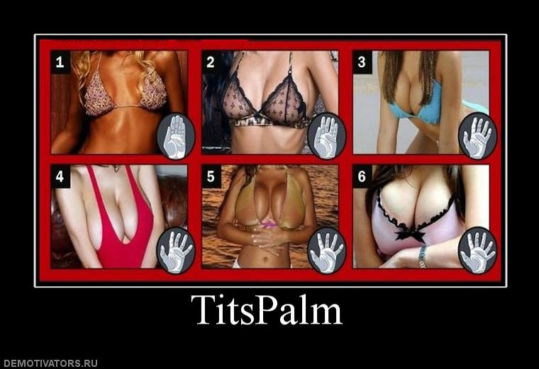 Илья Павлов фотография #4