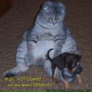 Фотография Лебедевой Надежды