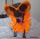 Анфиса Никитина фотография #22 (источник - https://vk.com/id166375813)