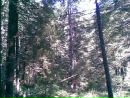 Юлія Сеник фотография #9 (источник - https://vk.com/id103582768)