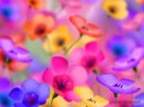 Іно Планетяшка фотография #42 (источник - https://vk.com/id159275701)