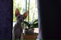 Фотография Анохиной Яны