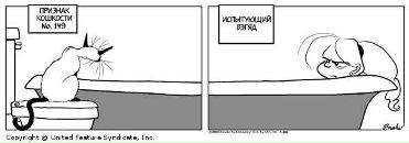 Internal Infinity фотография #12 (источник - https://vk.com/id2945498)