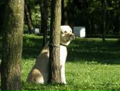 Фотография Шихина Маргарита