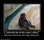 Міша Кальніцький фотография #22 (источник - https://vk.com/id5962739)