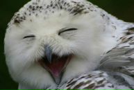 Фотография Баева Игоря