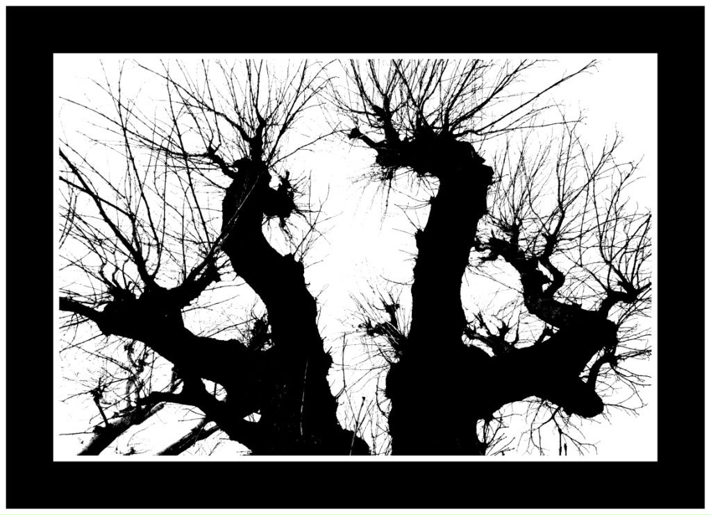 Максим Горбулин фотография #41