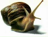 Фотография Нарушина Ивана