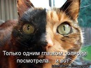 Вадім Романюк фотография #50 (источник - https://vk.com/id146365668)