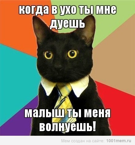 №13, Юлия Подорина №13, Юлия Подорина