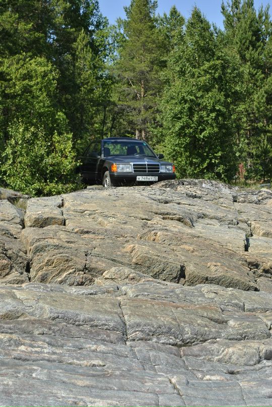 Дмитрий Павловский фотография #33