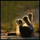 Фотография Калиновской Полины