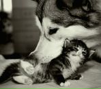 Ксюша Флішаровська фотография #25 (источник - https://vk.com/id30421080)