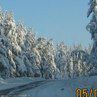 Коля Луців фотография #11 (источник - https://vk.com/id66166396)