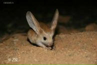 Фотография Романюк Анны