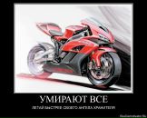 Aleksandr Kuznetsov фотография #20 (источник - https://vk.com/id684355)