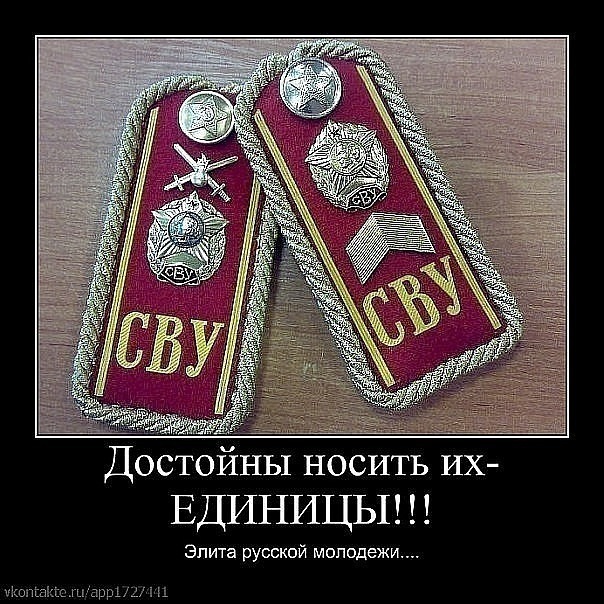 №15, Константин Варфаломеев №15, Константин Варфаломеев