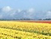 Аня Хасанова фотография #17 (источник - https://vk.com/id231013)