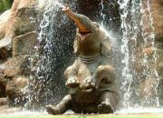 Фотография Гориславской Жанны