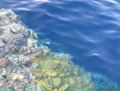 Наталья Софронова фотография #24 (источник - https://vk.com/id5466782)