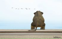 Фотография Никоновой Елены