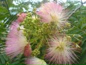 Иван Кузнецов фотография #23 (источник - https://vk.com/id98103)