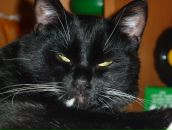 Фотография Семеновой Светланы