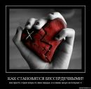 Фотография Толстого Евгения