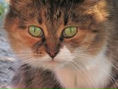 Фотография Климовой Миланки