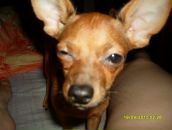 Фотография Максимовой Нины