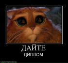 Фотография Буинской Инны