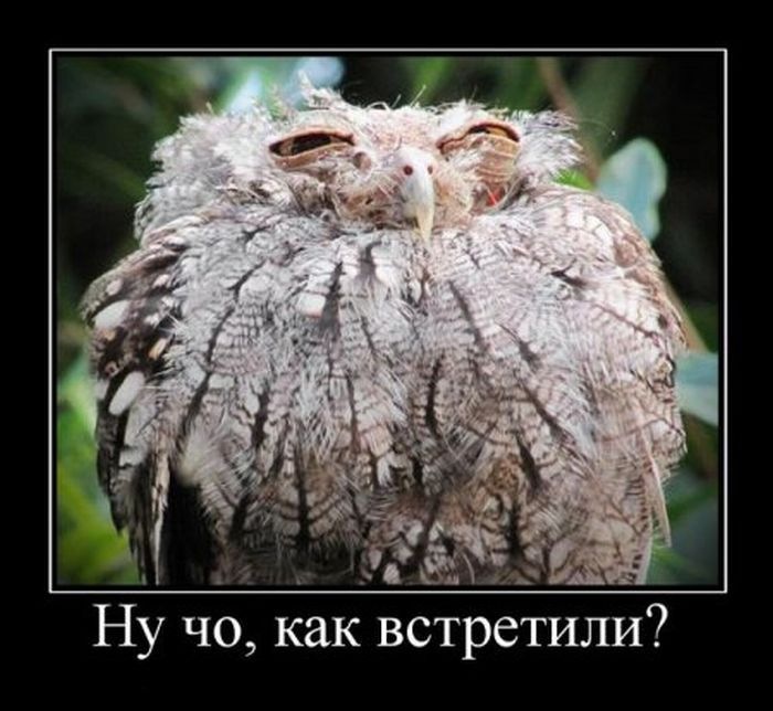 Дмитрий Антоненко фотография #23