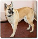 Фотография Костромина Алексея