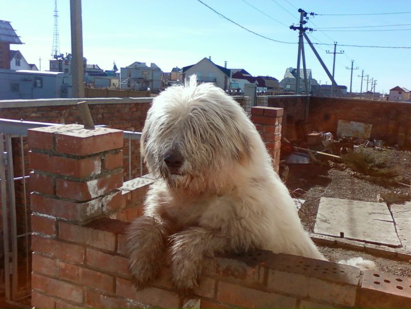 Иван Иванов фото №1