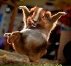 Фотография Суфиянова Динара