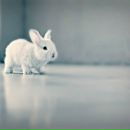 Фотография Кожевникова Романа