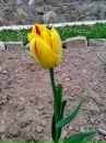 Наталія Коханчик фотография #36 (источник - https://vk.com/id59506791)