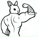 Фотография Кувицына Вадима