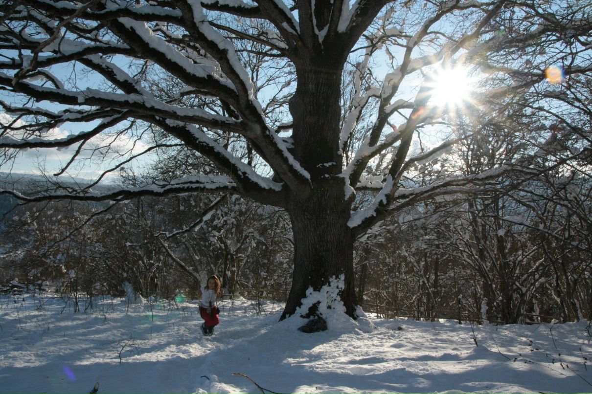 Дмитрий Нестеров фотография #30