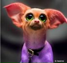 Фотография Савиных Анастасии