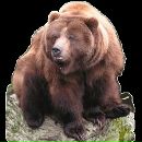 Вітя Оніщук фотография #6 (источник - https://vk.com/id72566245)