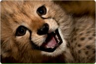 Фотография Ялынской Анны